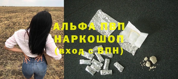 СК Покров