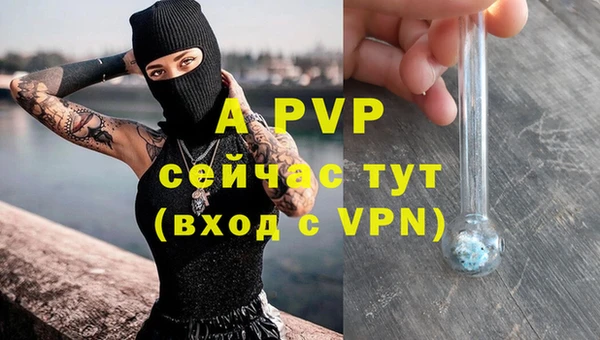 ГАЛЛЮЦИНОГЕННЫЕ ГРИБЫ Пестово