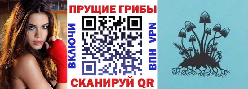 Галлюциногенные грибы прущие грибы  сколько стоит  Аткарск 